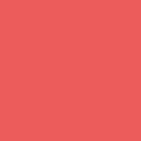 kleurvlak_rood kleurvlak_rood